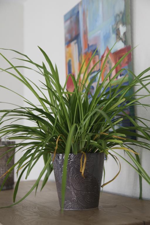 Aux Herbes Folles Herve Екстер'єр фото